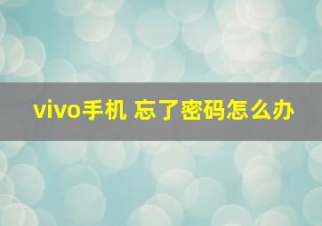 vivo手机 忘了密码怎么办